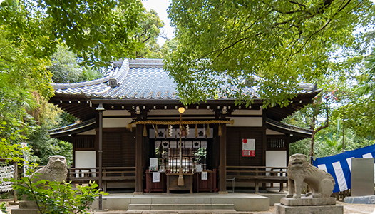 育む 夕陽丘予備校 関西の大学受験予備校 塾 大阪 天王寺