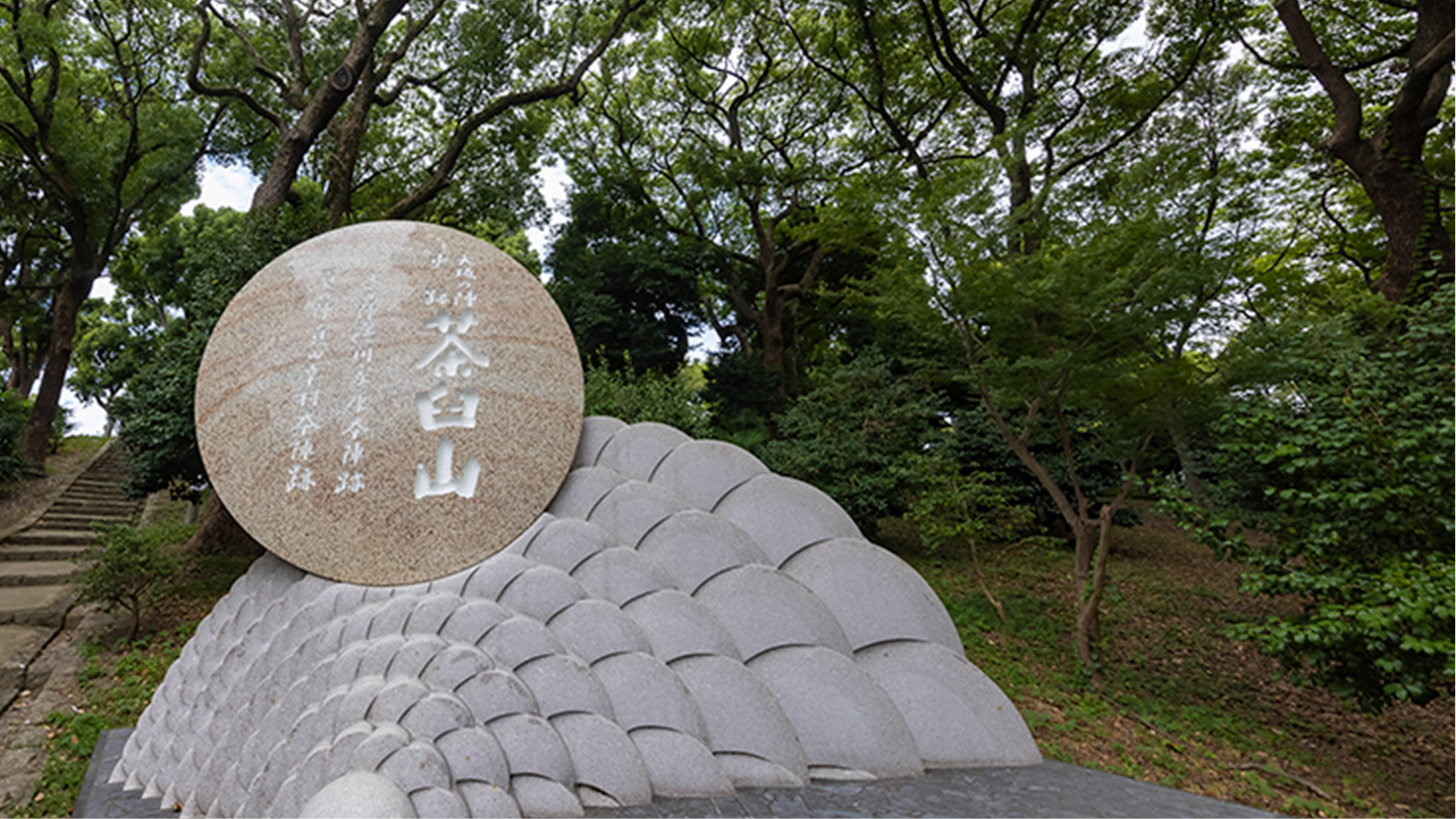 夕陽丘予備校 関西の大学受験予備校 塾 大阪 天王寺